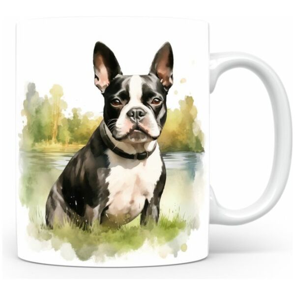 magicdatnl2023_A_content_Boston_Terrier_enjoying_a_leisurely_wa_d8fad1c6-ffee-436b-a9a3-3a200b53b95d-white-56-mok wit