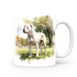 magicdatnl2023_A_content_Dogo_Argentino_enjoying_a_leisurely_wa_e62ebe5d-9bb5-4cdb-879b-93ebeb8d6241-white-118-mok wit