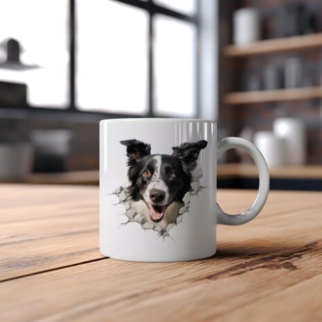 Mok Border Collie