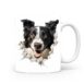 Mok Border Collie