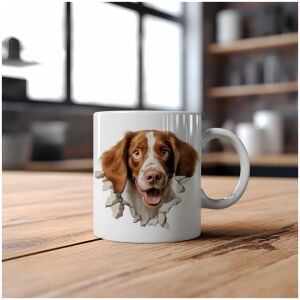 Mok Bretonse Spaniel