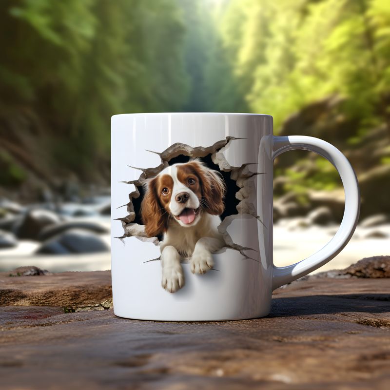 Mok Cavalier-Kingcharlesspaniel Mok Cavalier-kingcharlesspaniel - Afbeelding 3