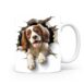 Mok Cavalier-Kingcharlesspaniel Mok Cavalier-kingcharlesspaniel