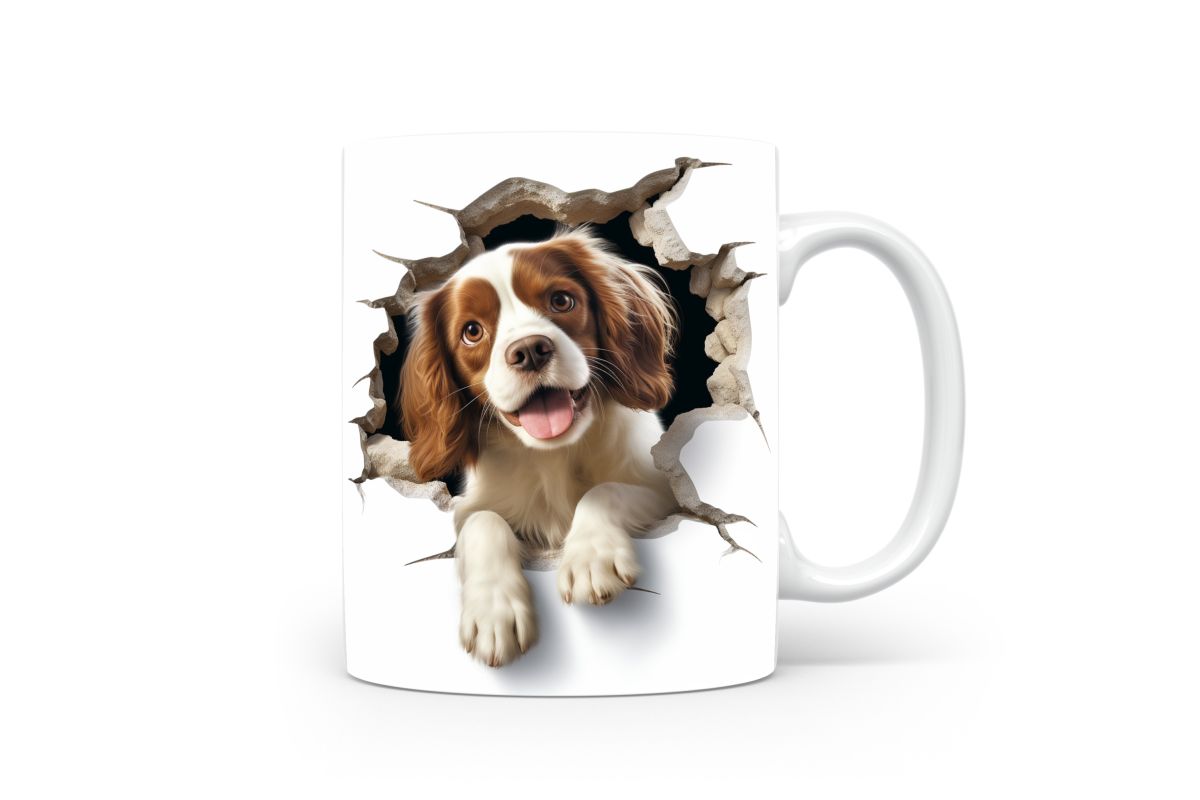 Mok Cavalier-Kingcharlesspaniel Mok Cavalier-kingcharlesspaniel - Afbeelding 6
