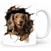 magicdatnl2023_Dachshund_Longhair_Dog_walking_through_a_hole_in_bbd6868f-0a91-4c58-aba3-c0369fe6165e-white-350-mok wit