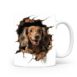 magicdatnl2023_Dachshund_Longhair_Dog_walking_through_a_hole_in_bbd6868f-0a91-4c58-aba3-c0369fe6165e-white-350-mok wit