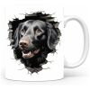 magicdatnl2023_Flatcoated_Retriever_Dog_walking_through_a_hole__a76dedb1-5aa5-4987-8294-6ff6573d2f84-white-362-mok wit