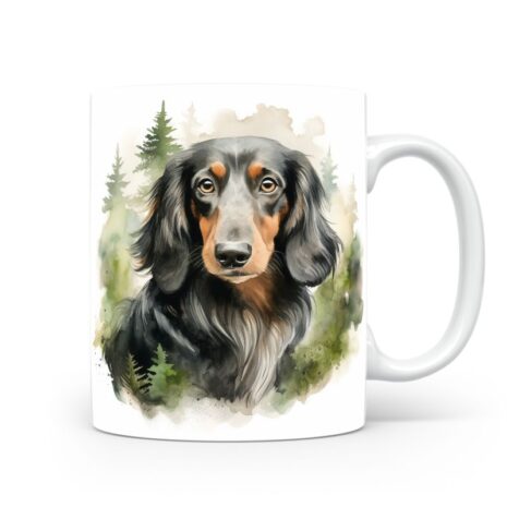 149-mok wit-magicdatnl2023_Dachshund_Longhair_dog_portret_with_a_background_120e3c5a-0d2b-4880-82c3-5d181a4c170c