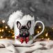 19-mok wit kerst-French_Bulldog