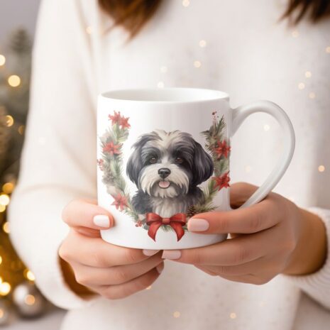 22-mok kerst-Havanese