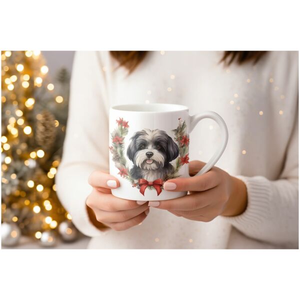 22-mok kerst-Havanese