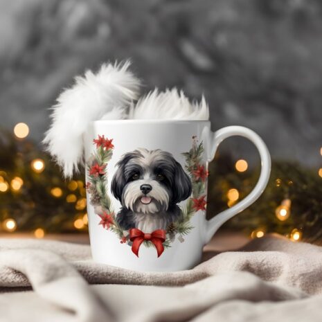 22-mok wit kerst-Havanese