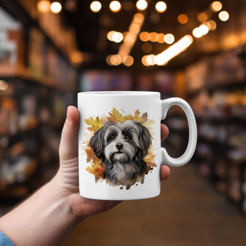 Mok Havanese Hond Mok Havanese hond