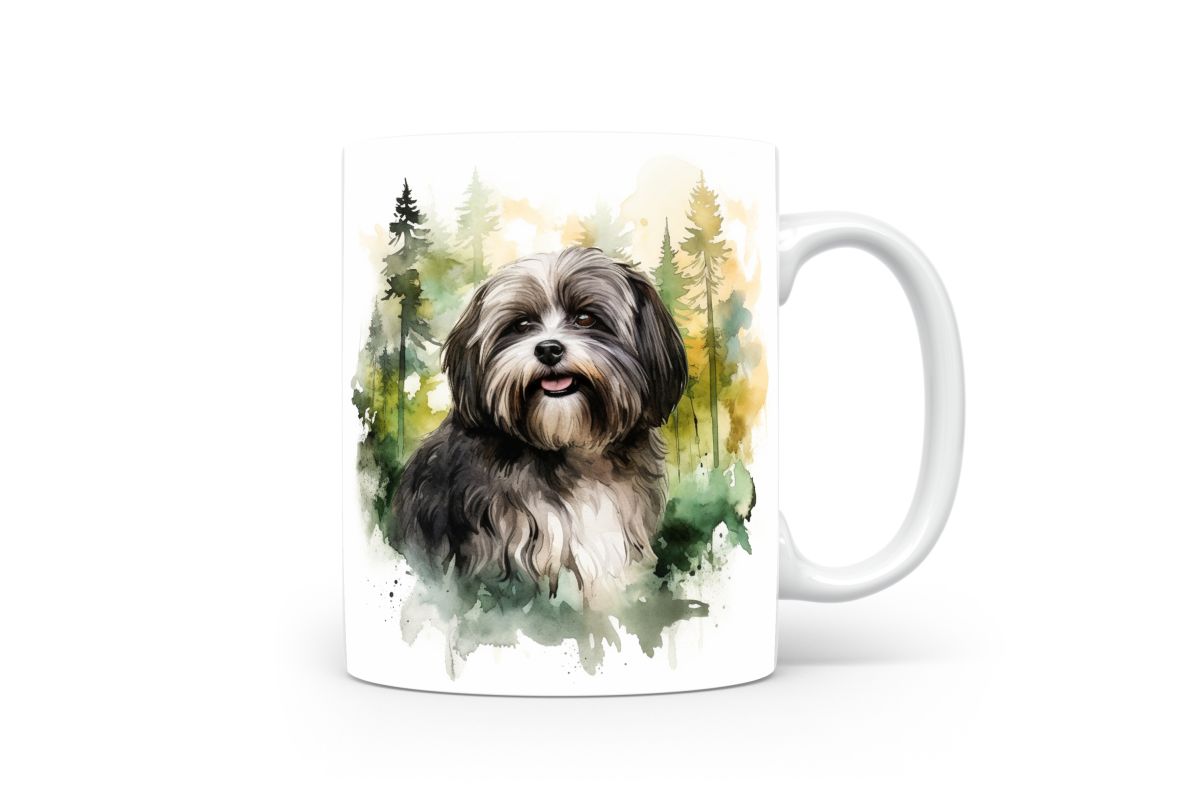 Mok Havanese hond - Afbeelding 3