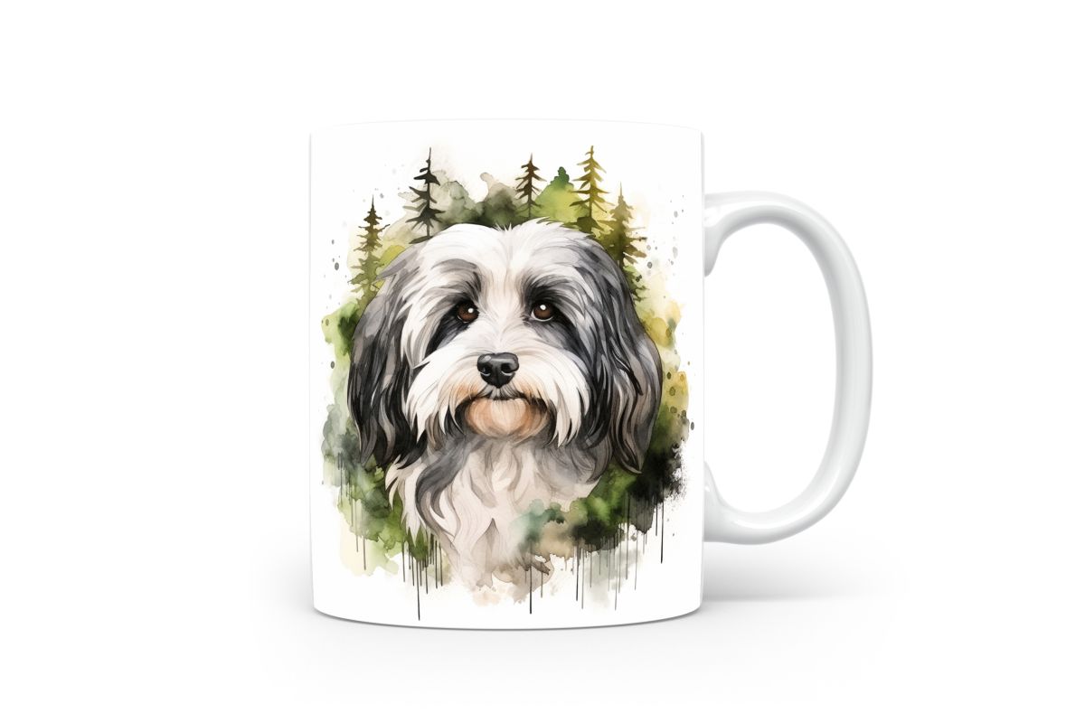 Mok Havanese hond - Afbeelding 3