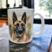 belgian malinois mok