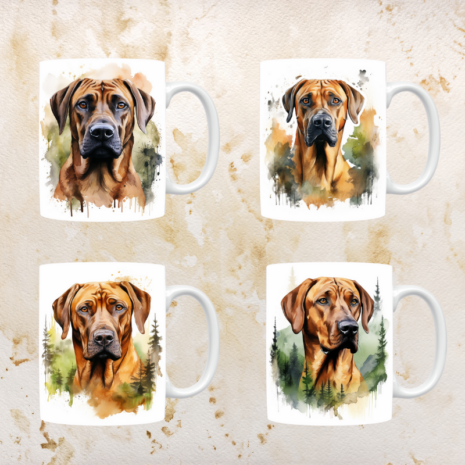 Rhodesian Ridgeback mokken set van 4