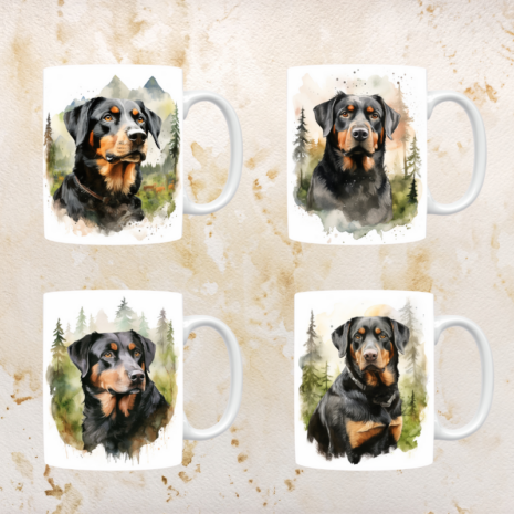 Rottweiler mokken set van 4