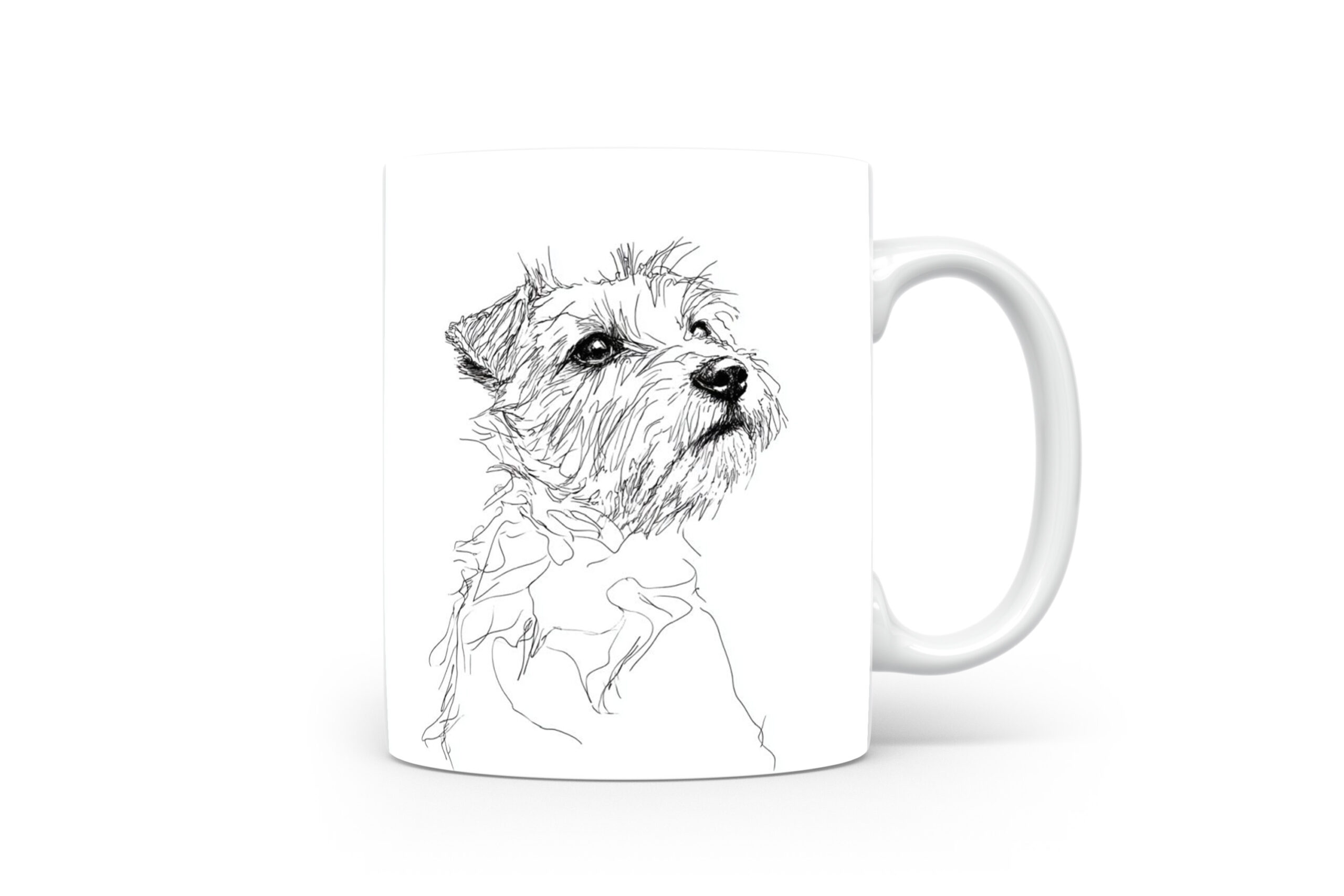 Beker Norfolk Terrier Norfolk Terrier