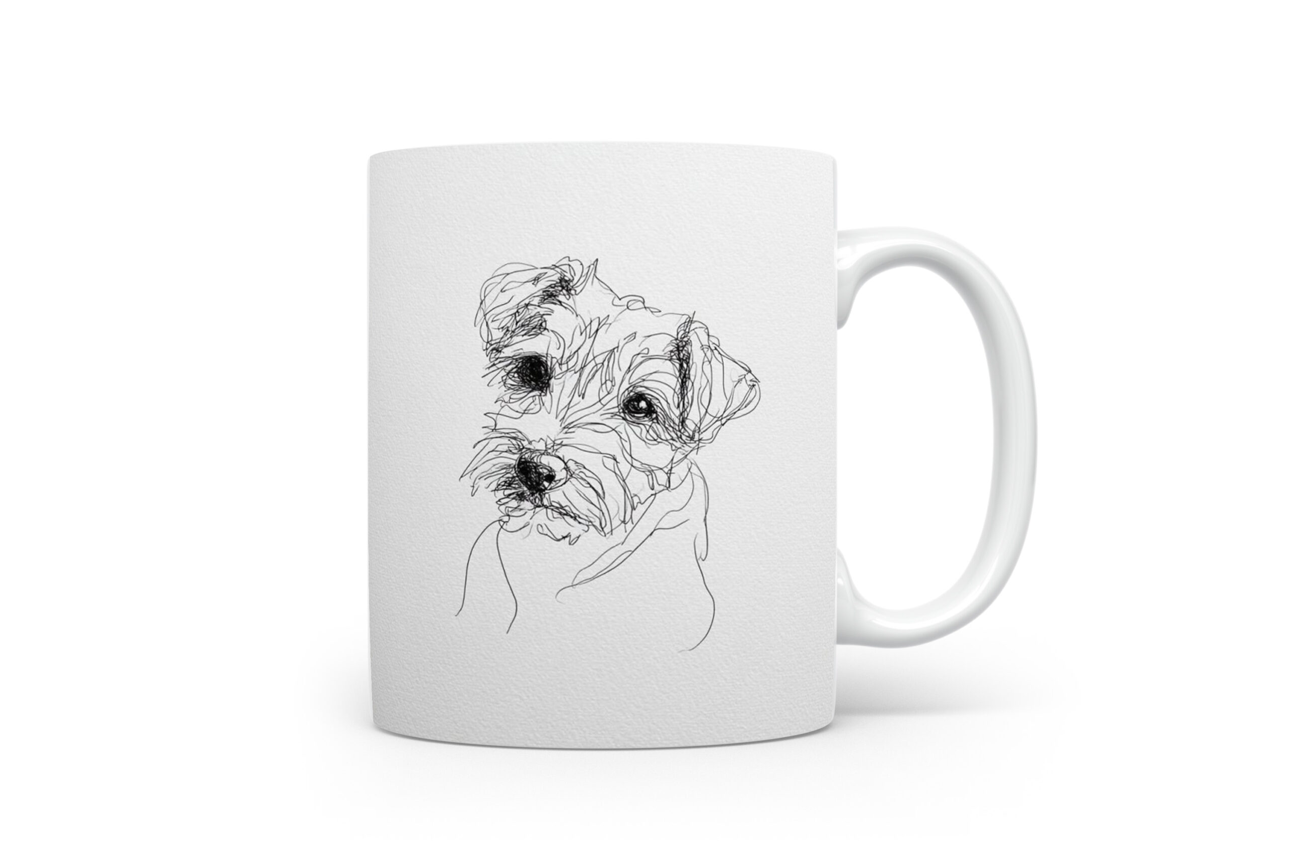 Beker Norfolk Terrier Norfolk Terrier
