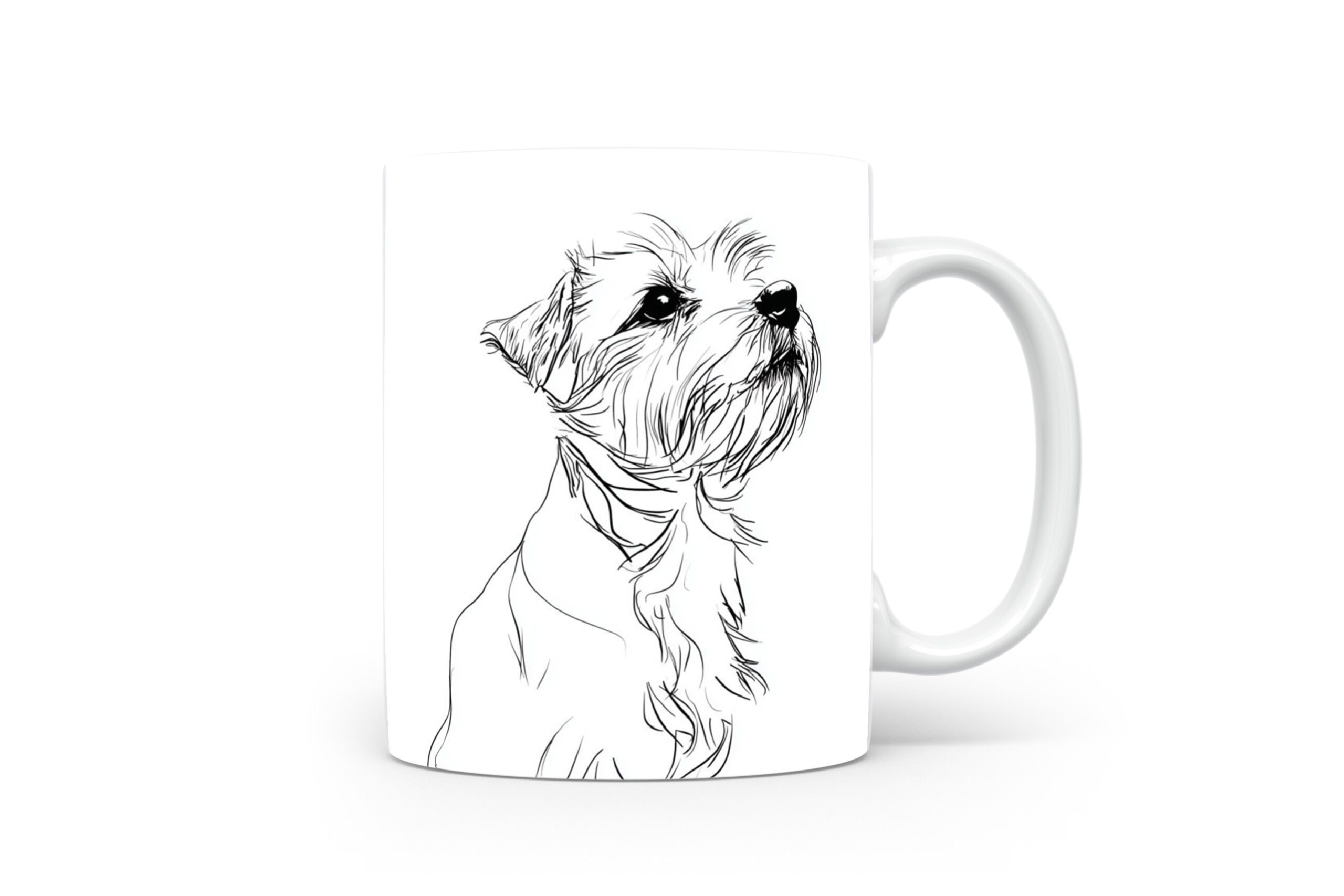 Beker Norfolk Terrier Norfolk Terrier