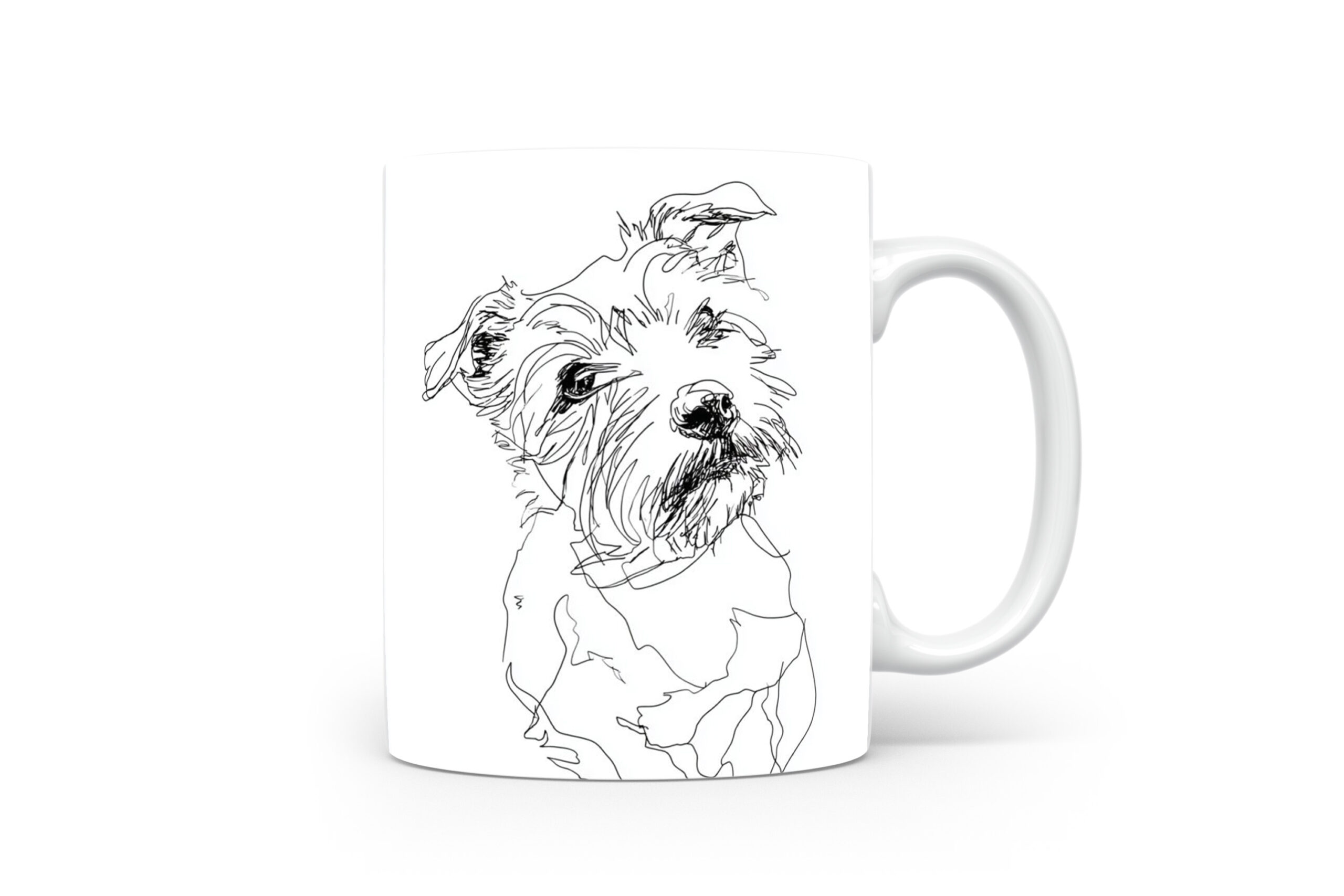 Beker Norfolk Terrier Norfolk Terrier