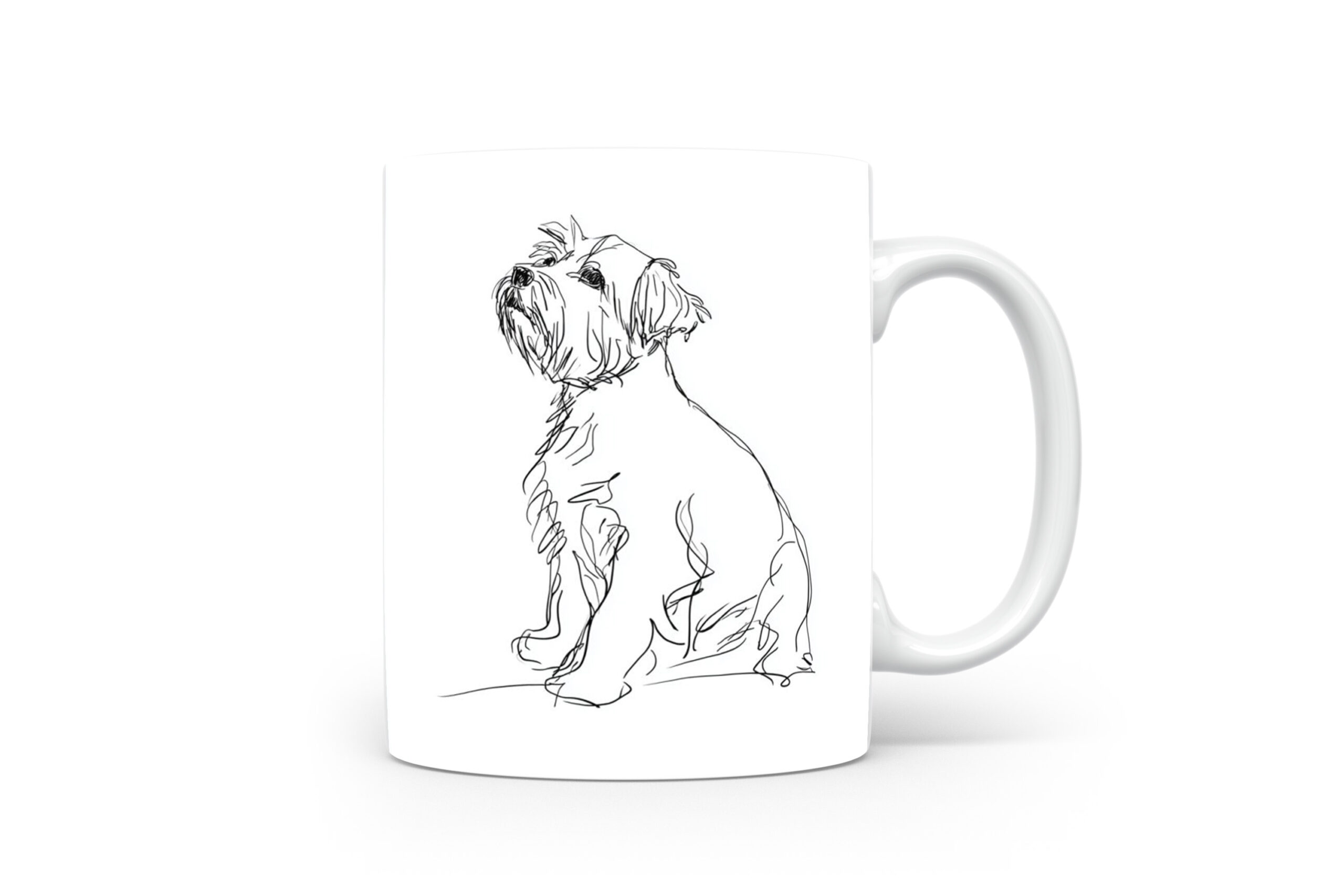 Beker Norfolk Terrier Norfolk Terrier