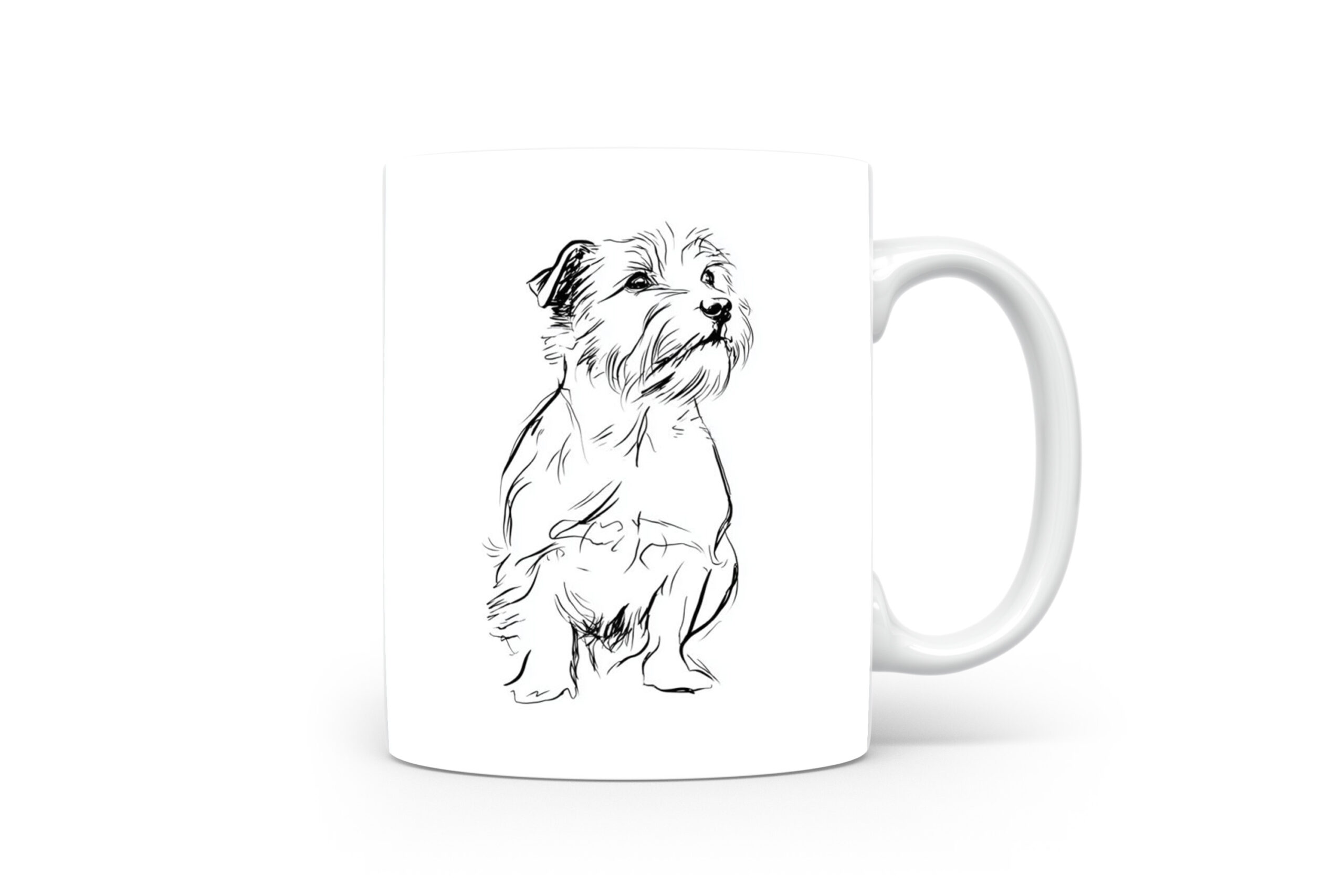 Beker Norfolk Terrier Norfolk Terrier