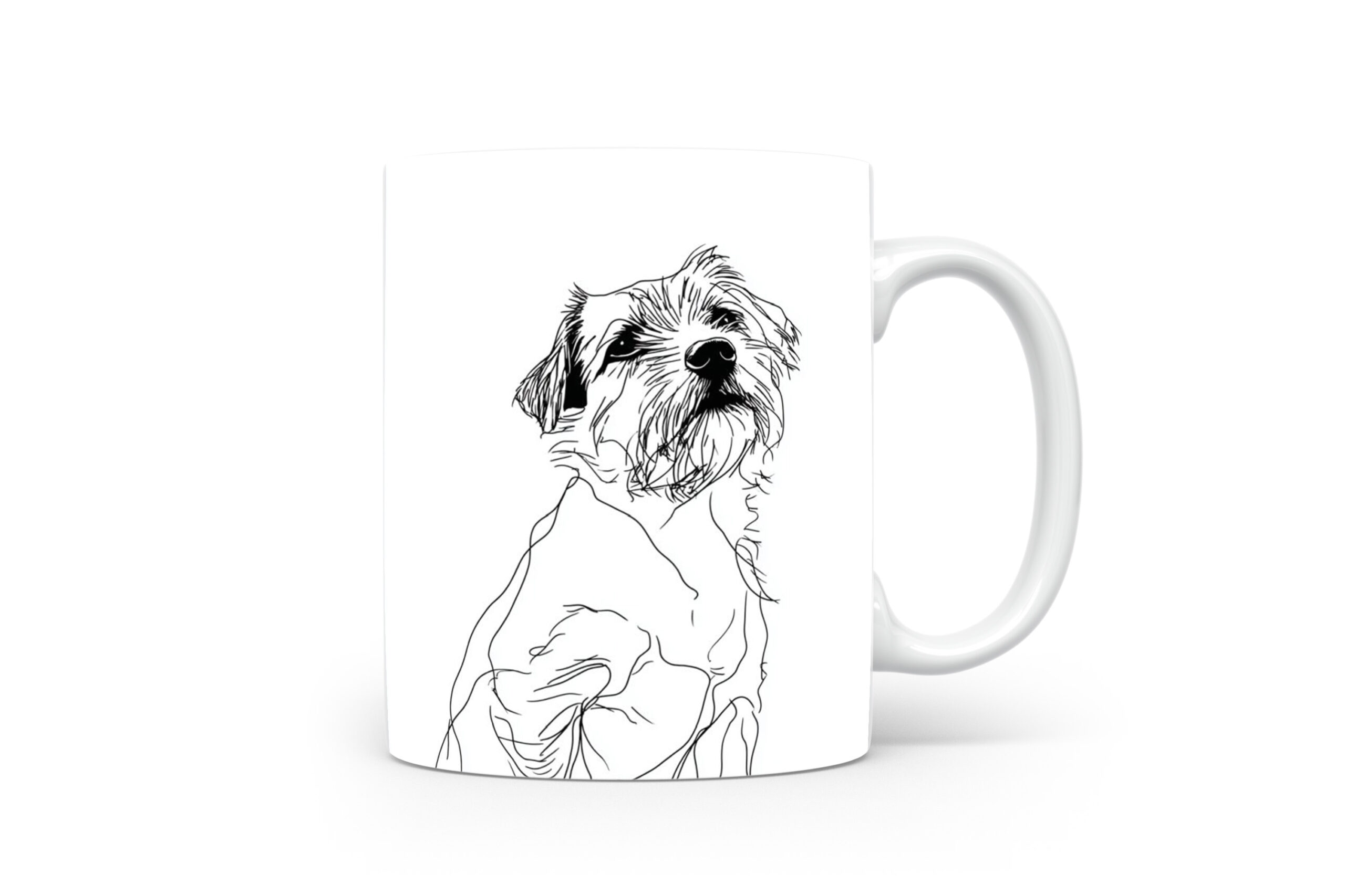 Beker Norfolk Terrier Norfolk Terrier