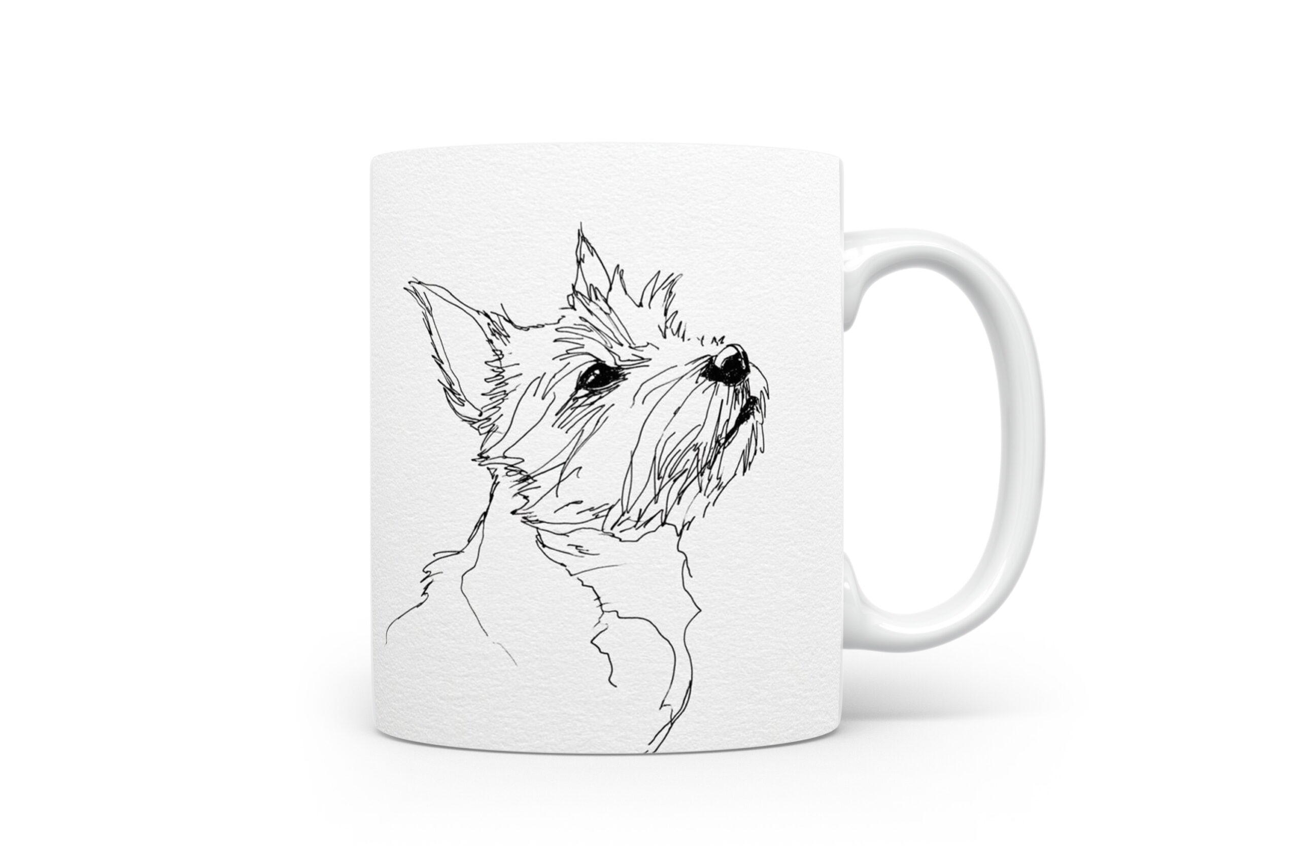 Beker Norwich Terrier Norwich Terrier