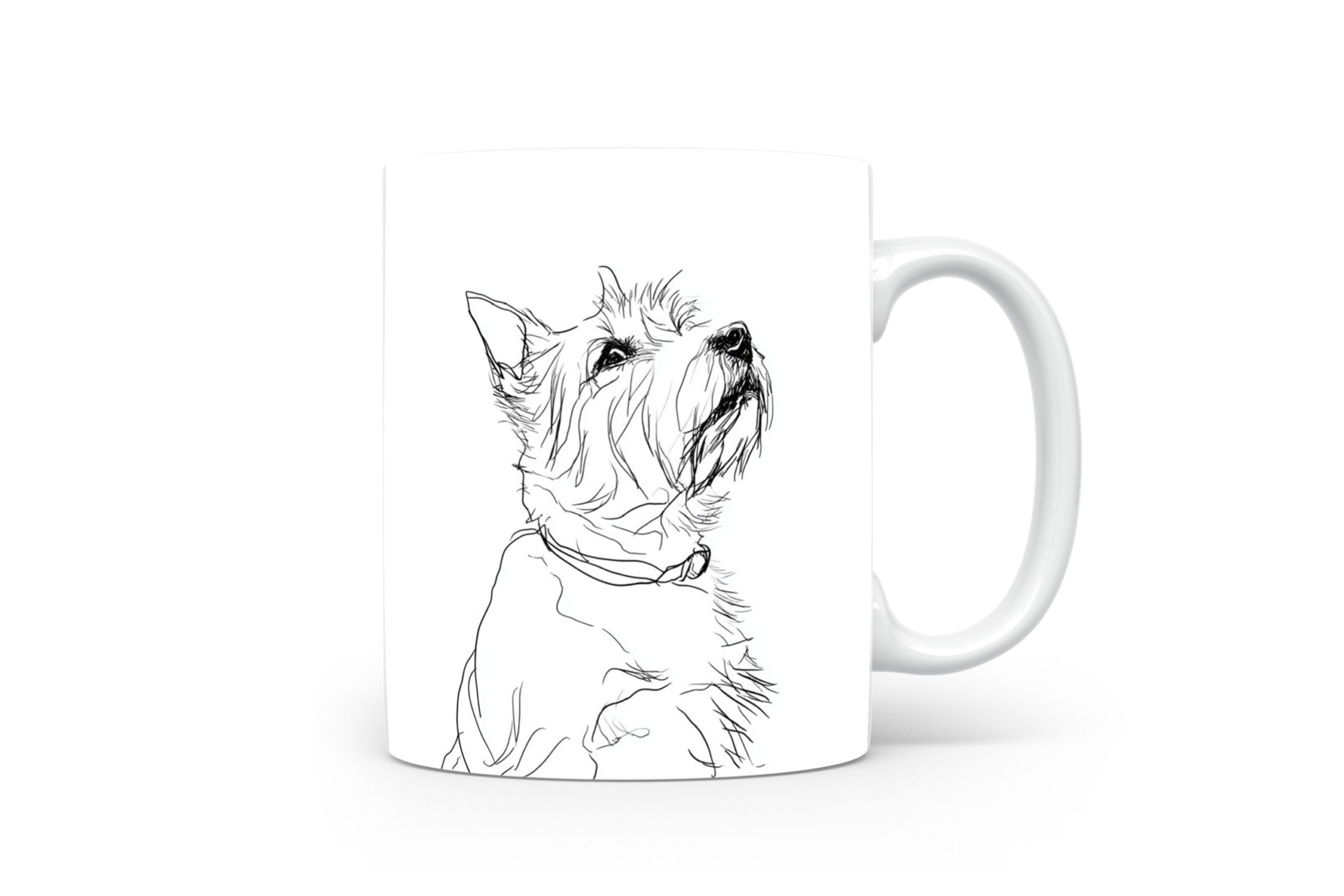 Beker Norwich Terrier Norwich Terrier