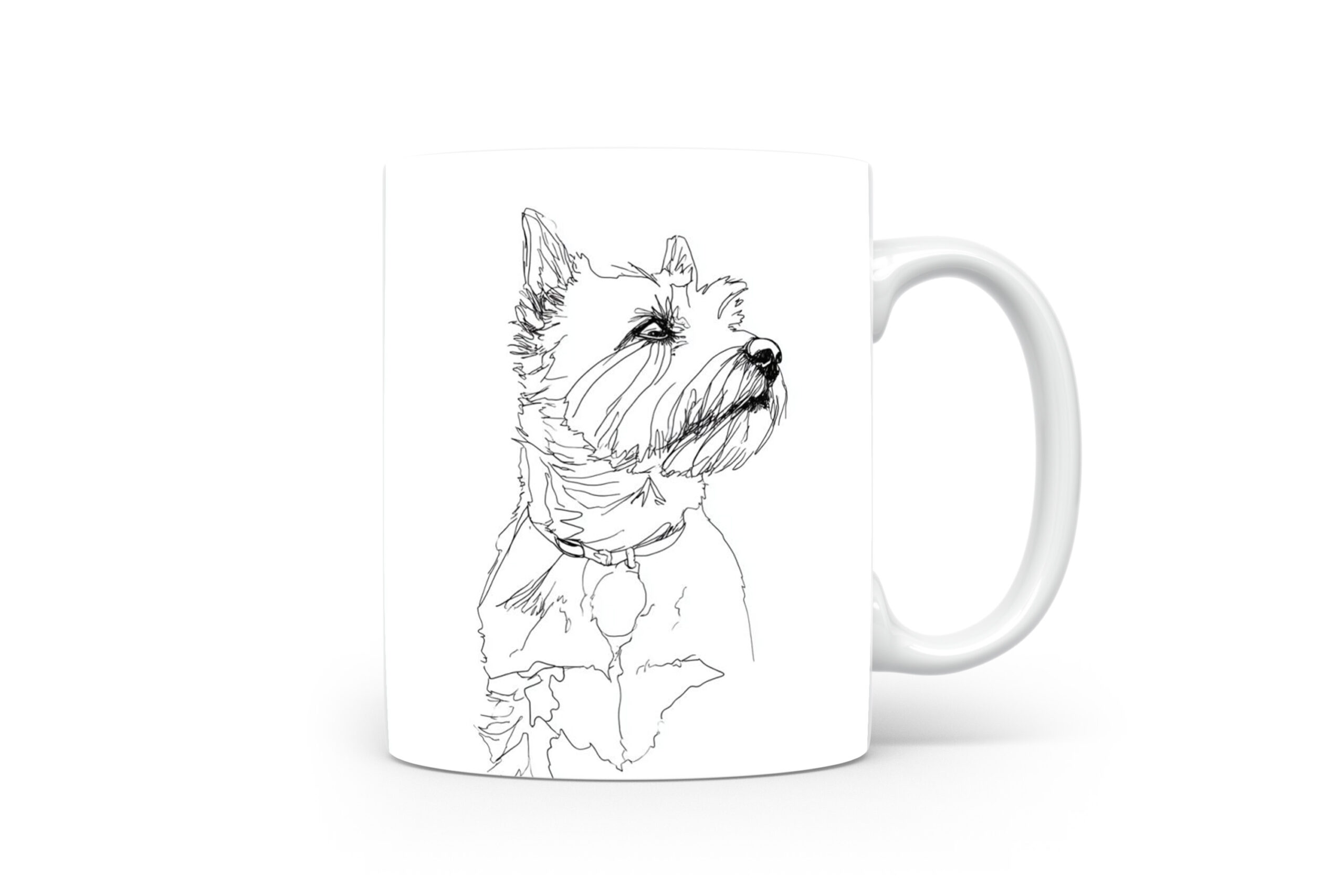 Beker Norwich Terrier Norwich Terrier