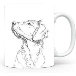 Nova Scotia Duck Tolling Retriever