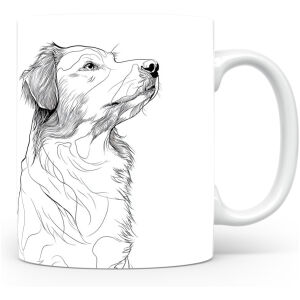 Nova Scotia Duck Tolling Retriever