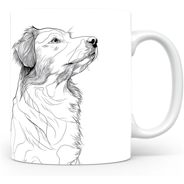 Nova Scotia Duck Tolling Retriever