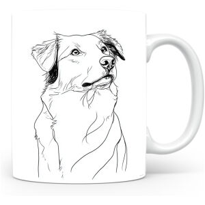 Nova Scotia Duck Tolling Retriever