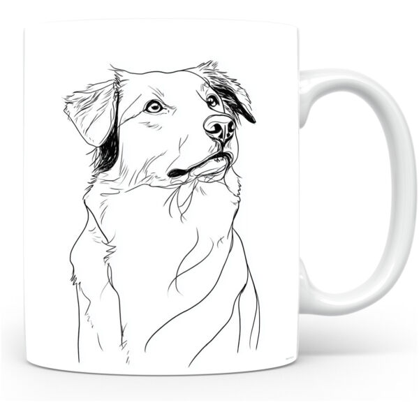 Nova Scotia Duck Tolling Retriever