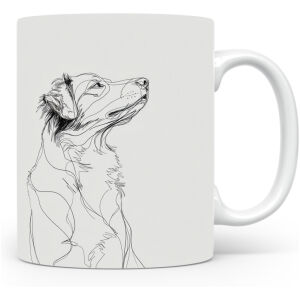 Nova Scotia Duck Tolling Retriever