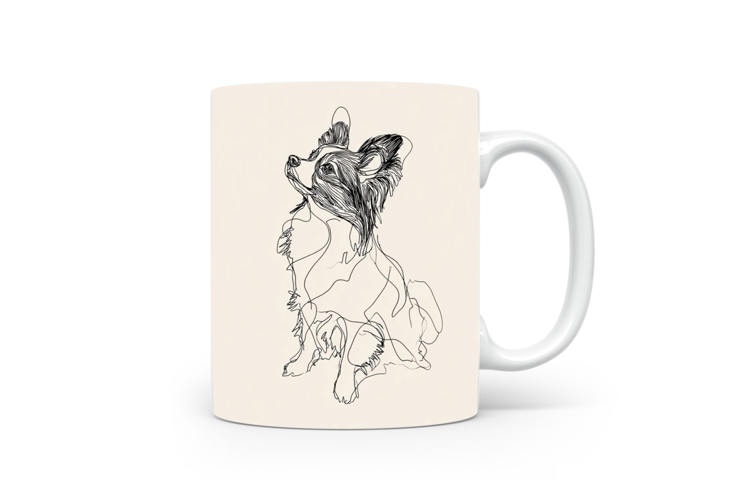 Beker Vlinderhondje (Papillon/Phalène) Vlinderhondje (Papillon/Phalène)
