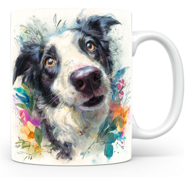Beker Border Collie Border Collie