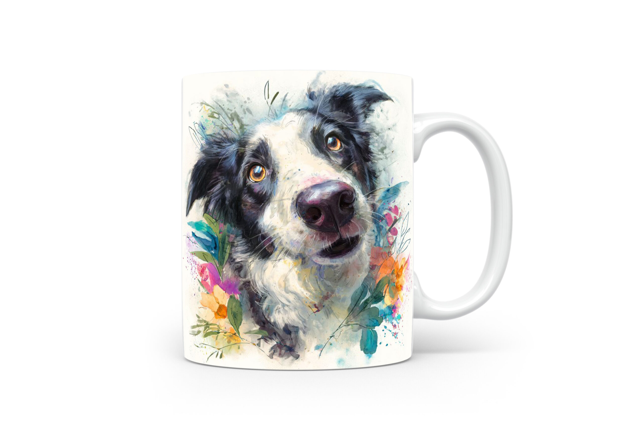 Beker Border Collie Border Collie