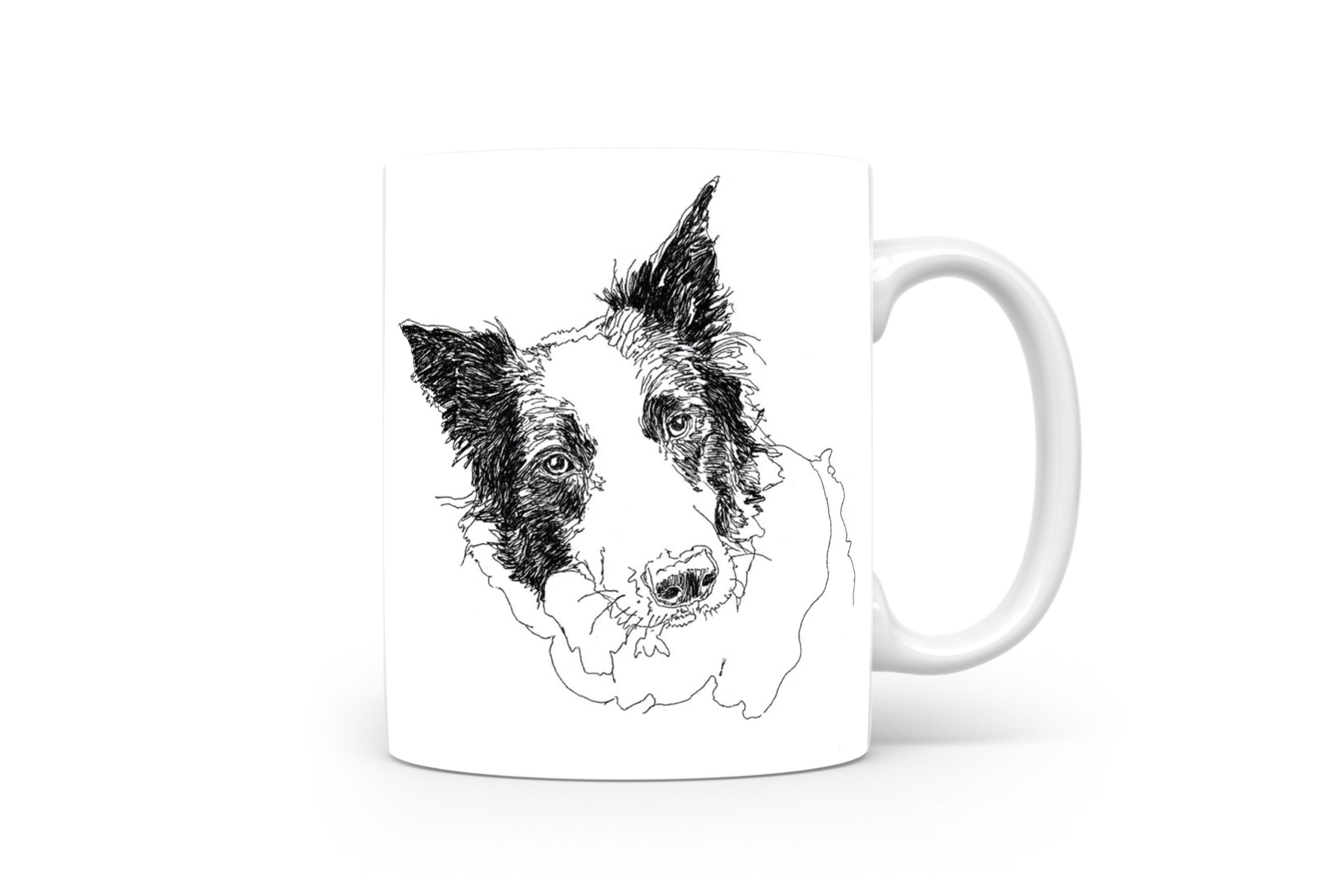 Beker Border Collie Border Collie