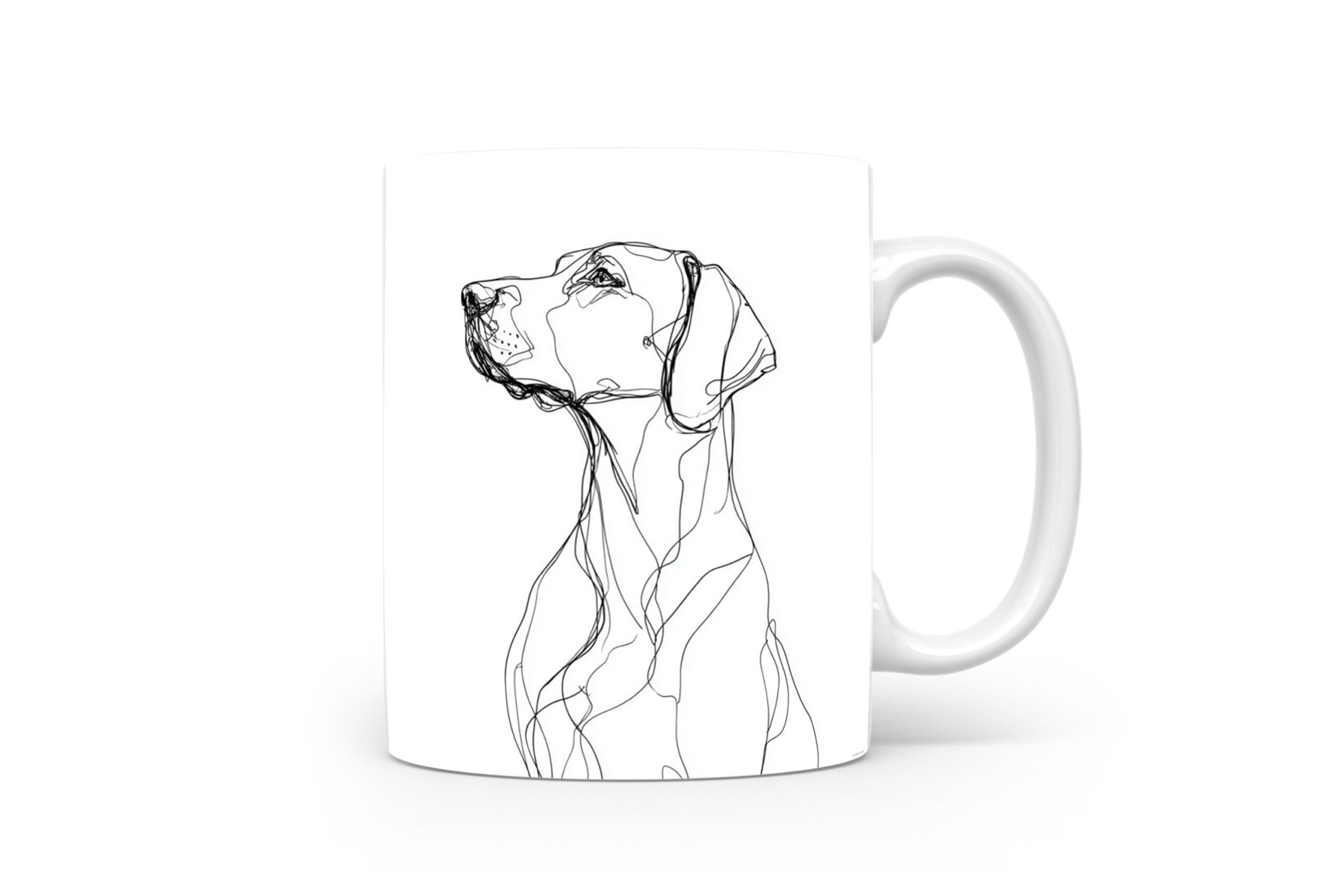 Beker Pointer Pointer