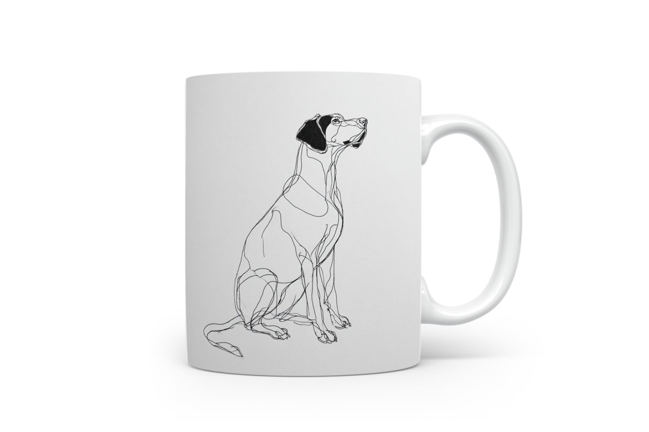 Beker Pointer Pointer