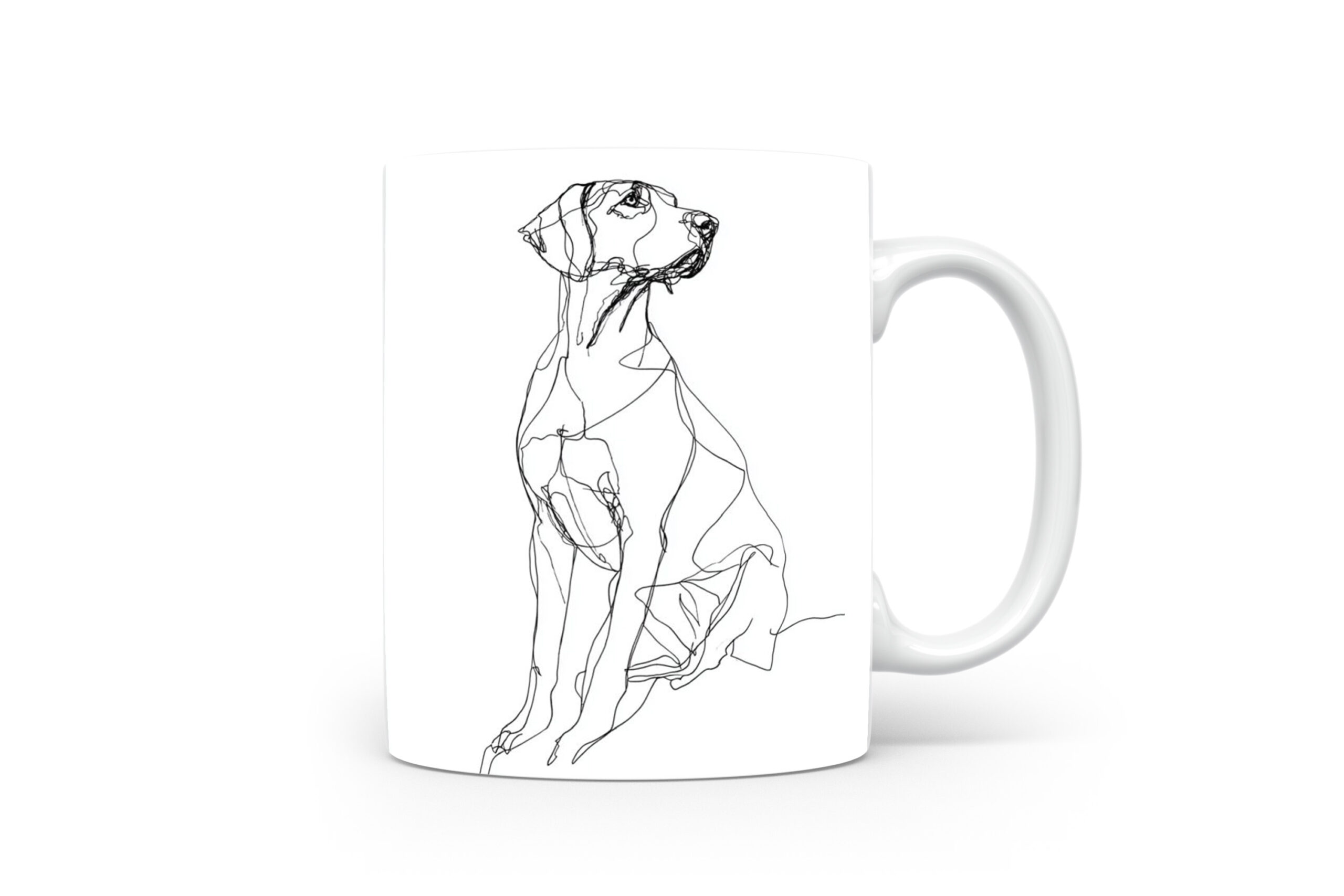 Beker Pointer Pointer
