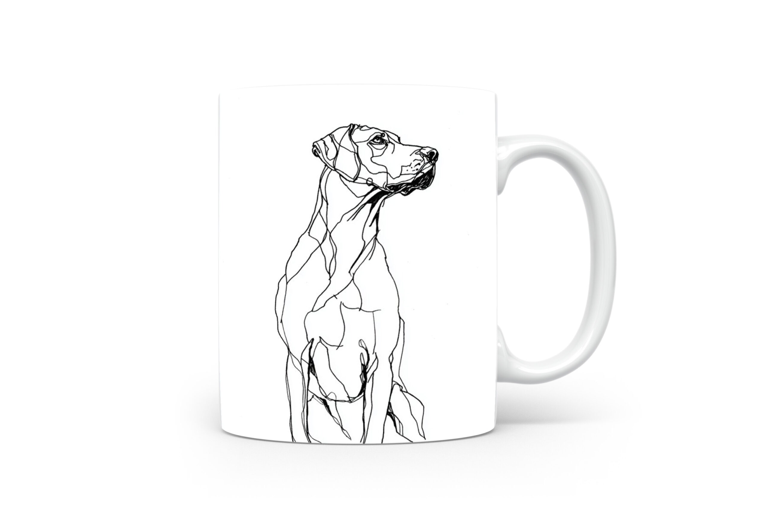 Beker Rhodesian Ridgeback Rhodesian Ridgeback