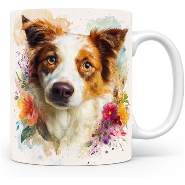 Beker Border Collie Border Collie