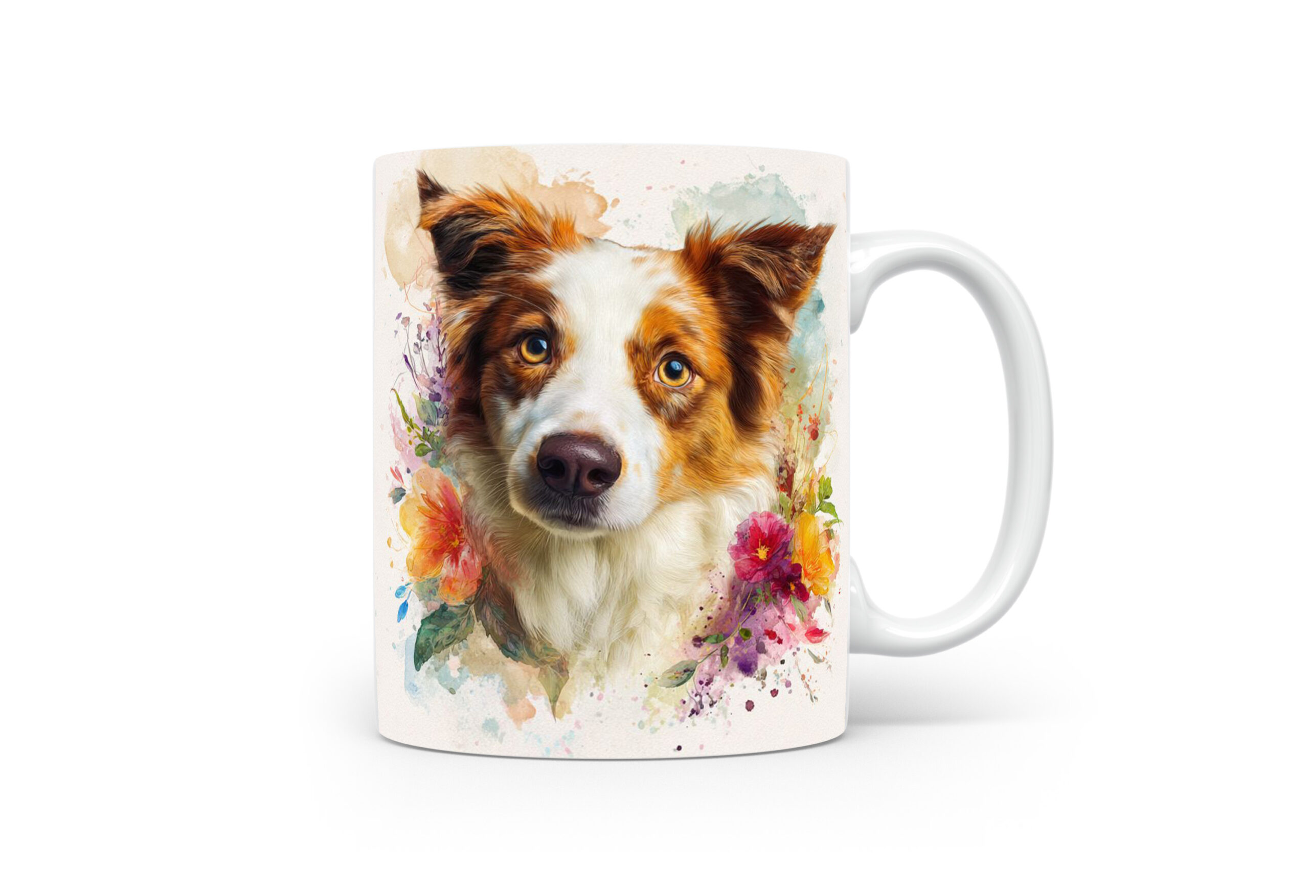 Beker Border Collie Border Collie
