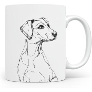 Schillerstövare (Schiller Hound)