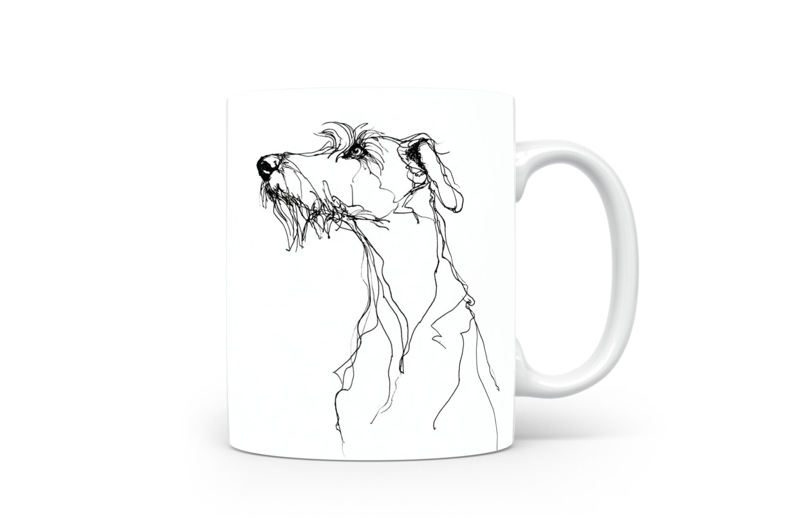 Beker Scottish Deerhound Scottish Deerhound